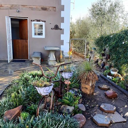 Carmel Villa B&B Or Self-Catering Calvinia 외부 사진